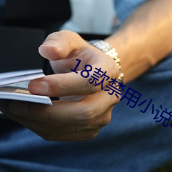 18款禁用(yòng)小说app网(wǎng)站