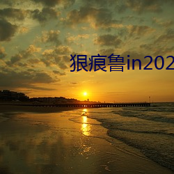 狠痕鲁in2021