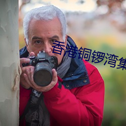 香港铜锣湾(灣)集(集)团(團)公(公)司