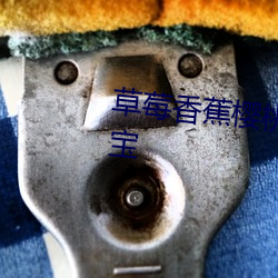 草莓香蕉樱桃黄瓜丝瓜榴莲幸福宝