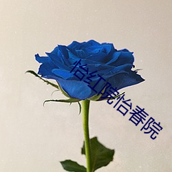 怡红院怡春院