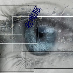 老梅瓶