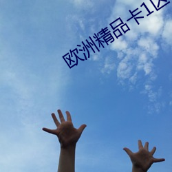 欧洲精品卡1区2卡三卡四卡