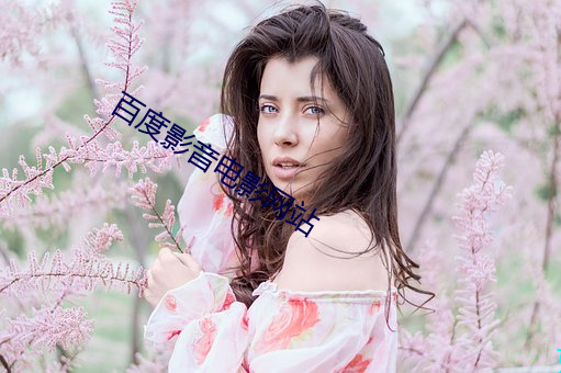百度影音电影(yǐng)网站(zhàn)