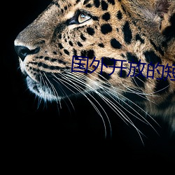 国(國)外开放的短视频平台