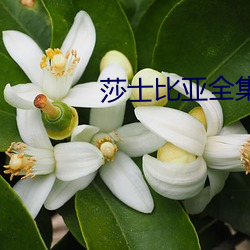 莎士比亞全集