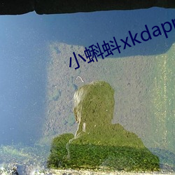 小蝌蚪xkdapp下載3.0