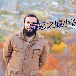 罪(罪)恶之城(城)小(小)说