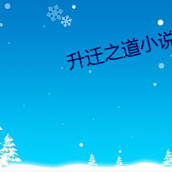 升迁之道小说 （流言风语）