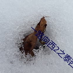 一(一)路向西(西)2之泰(泰)西下载