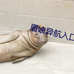 眉娘异航入口