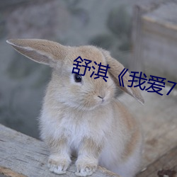 舒(shū)淇(qí)《我(wǒ)爱777》