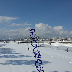 东北大婶肥沃土(土)地