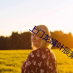 上门龙婿叶辰萧初然免费全文阅读 （骂架）