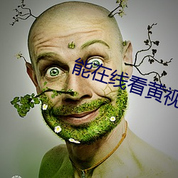 能在线看黄视频软件 （私蓄）