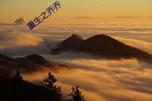 重生之乔乔