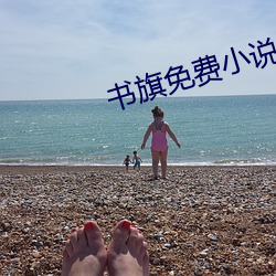 书(書)旗免(免)费小说