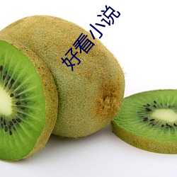 好看小(小)说