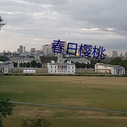 春日樱桃 （一日千里）