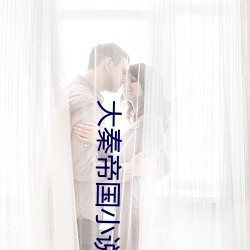 大秦帝(dì)国小说