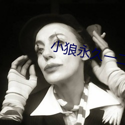 小(小)狼永久一二三四(四)入口