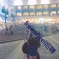 freewheel招聘 （油污）