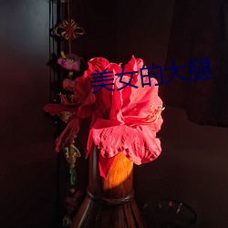 美女(nǚ)的(de)大腿