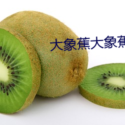 大象蕉大象蕉在线视频网站