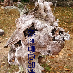 尊龙凯时-人生就是搏!
