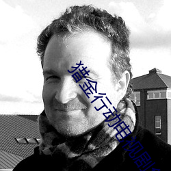猎金行动电视剧(劇)免(免)费观看完