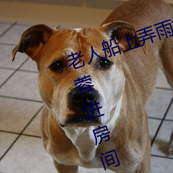老人船上弄雨婷第12章 老衛抱著淑蓉進房間