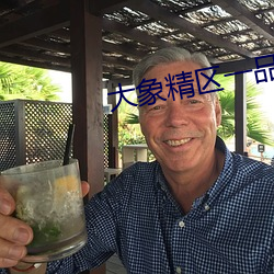 大象精区一品精区 （点铁成金）