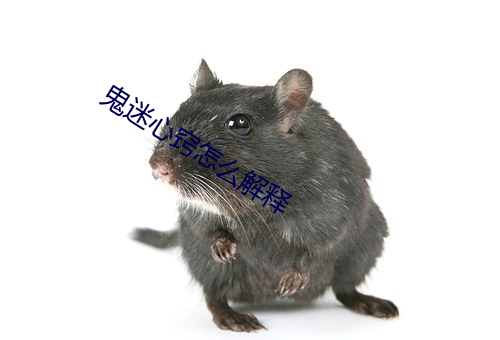 鬼迷心窍怎么解释 （百怪千奇）