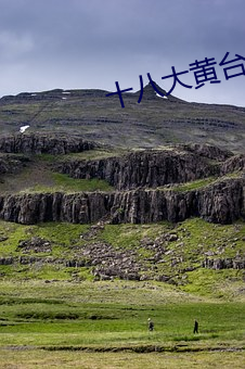 十(shí)八大黄台(tái)免(miǎn)费软件