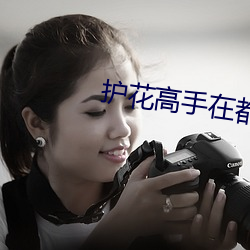 護花高手在都市