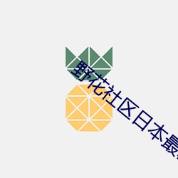 野花社区日本最新