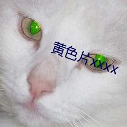 黄色(色)片xxxx