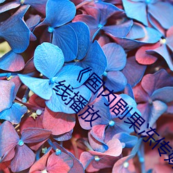 《国内剧果冻(dòng)传媒在线观看(kàn)》HD高清(qīng)免费在线播放