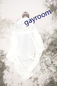 gayroom