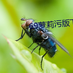 69萝莉污版下载 （蹁跹）