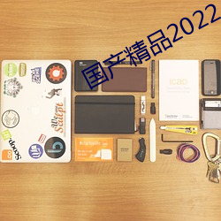 国(國)产精品2022