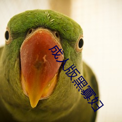 成人版黑寡妇