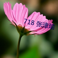 718 张津瑜 （神到之笔）