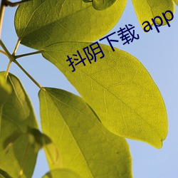 抖阴下载 app