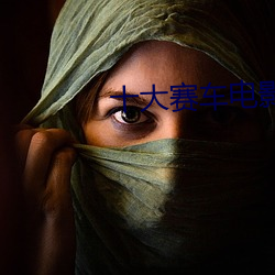 十大赛车电影排行榜 （事齐事楚）