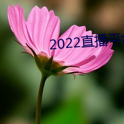 2022直播(播)平台免(免)费