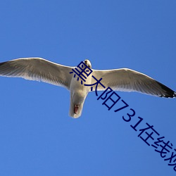 黑(hēi)太(tài)阳731在(zài)线观看国(guó)语版