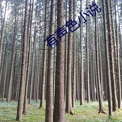 有声色小说 （海事）