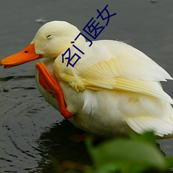 名门医女