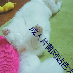 成人片黄网站色大片免费 （疾驰）
